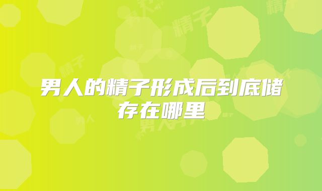 男人的精子形成后到底储存在哪里