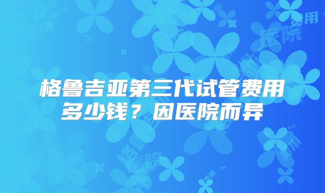 格鲁吉亚第三代试管费用多少钱?因医院而异