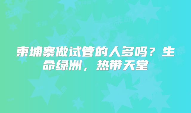柬埔寨做试管的人多吗?生命绿洲,热带天堂