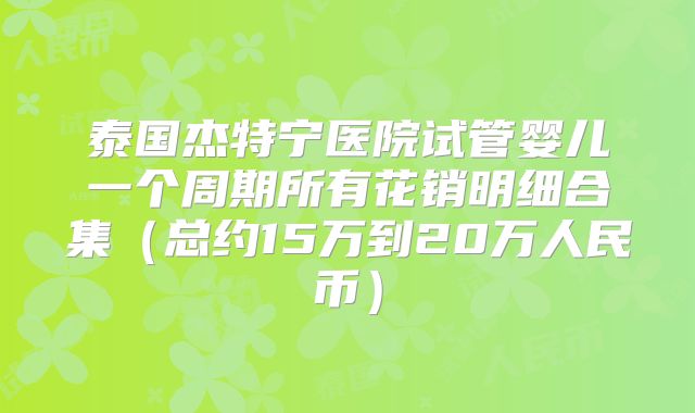 泰国杰特宁医院试管婴儿一个周期所有花销明细合集（总约15万到20万人民币）