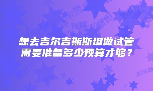 想去吉尔吉斯斯坦做试管需要准备多少预算才够?