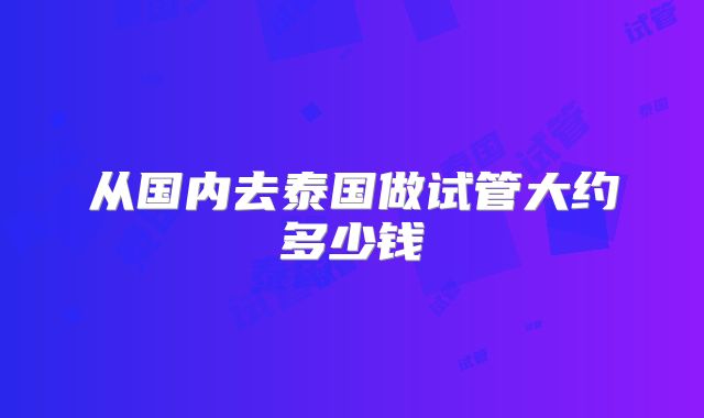 从国内去泰国做试管大约多少钱