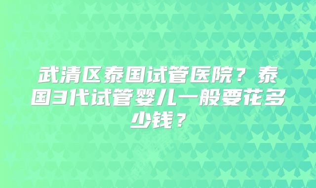 武清区泰国试管医院?泰国3代试管婴儿一般要花多少钱?