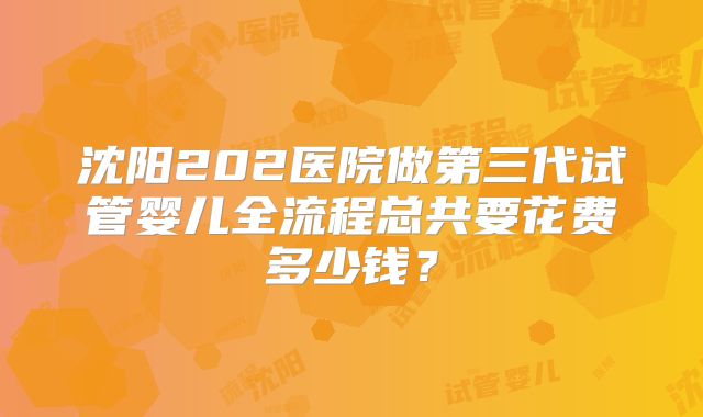 沈阳202医院做第三代试管婴儿全流程总共要花费多少钱?