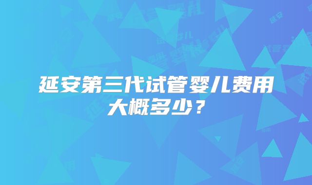 延安第三代试管婴儿费用大概多少？