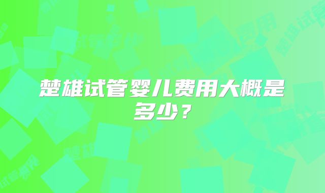 楚雄试管婴儿费用大概是多少?