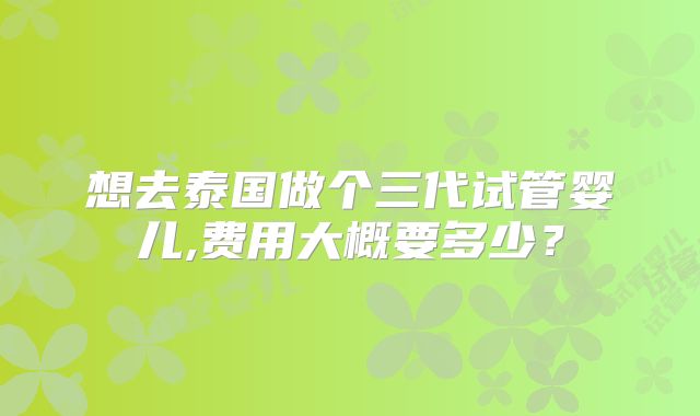 想去泰国做个三代试管婴儿,费用大概要多少?