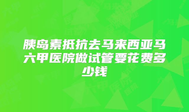 胰岛素抵抗去马来西亚马六甲医院做试管要花费多少钱