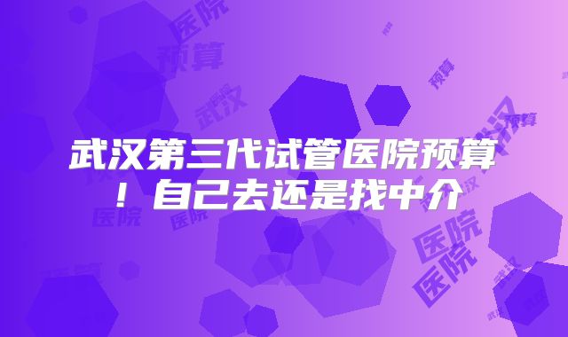 武汉第三代试管医院预算!自己去还是找中介