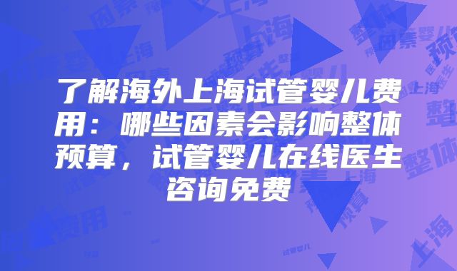 了解海外上海试管婴儿费用:哪些因素会影响整体预算,试管婴儿在线医生咨询免费