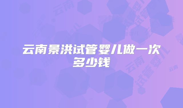 云南景洪试管婴儿做一次多少钱