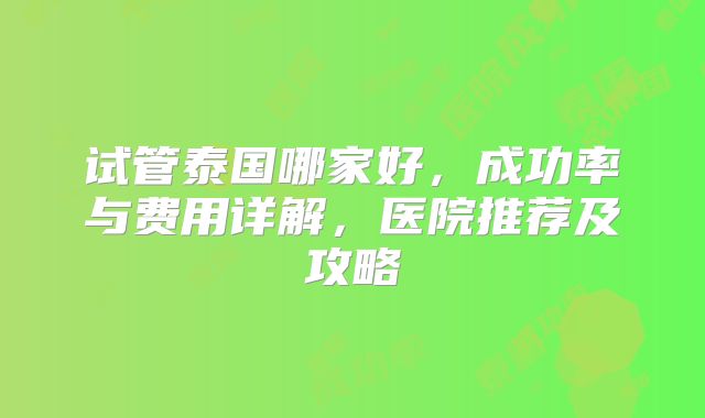试管泰国哪家好,成功率与费用详解,医院推荐及攻略