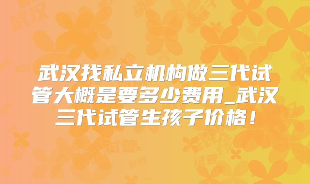 武汉找私立机构做三代试管大概是要多少费用_武汉三代试管生孩子价格！
