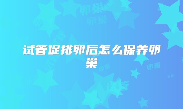 试管促排卵后怎么保养卵巢