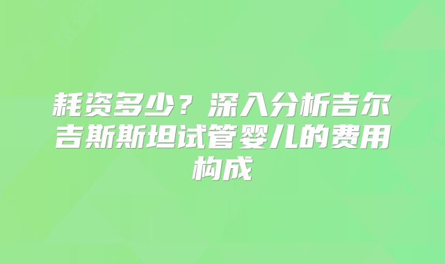 耗资多少?深入分析吉尔吉斯斯坦试管婴儿的费用构成