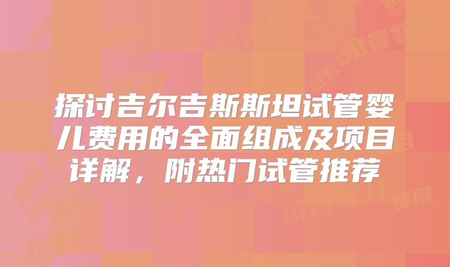 探讨吉尔吉斯斯坦试管婴儿费用的全面组成及项目详解，附热门试管推荐