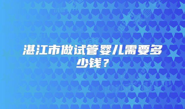 湛江市做试管婴儿需要多少钱？