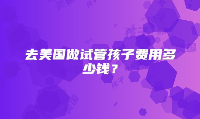 去美国做试管孩子费用多少钱？