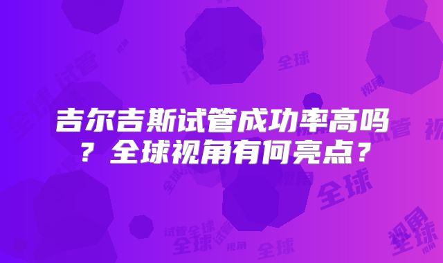 吉尔吉斯试管成功率高吗？全球视角有何亮点？