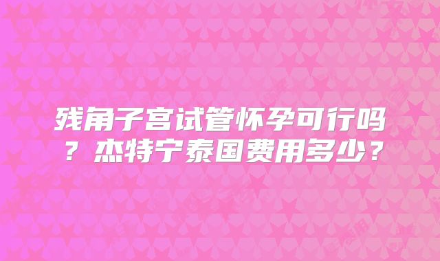 残角子宫试管怀孕可行吗?杰特宁泰国费用多少?