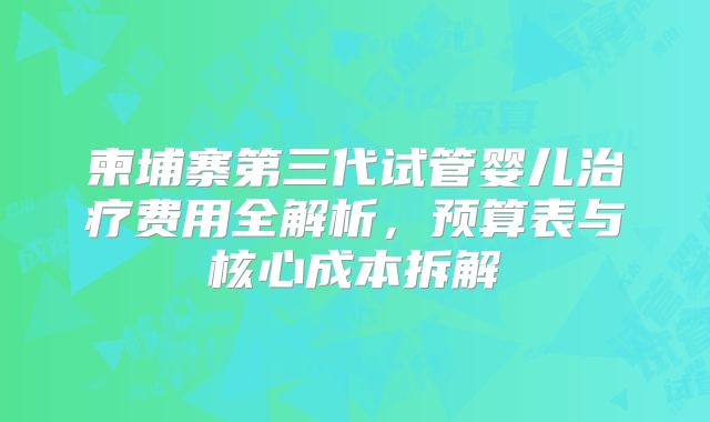 柬埔寨第三代试管婴儿治疗费用全解析,预算表与核心成本拆解