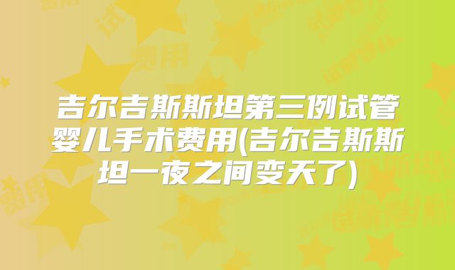 吉尔吉斯斯坦第三例试管婴儿手术费用(吉尔吉斯斯坦一夜之间变天了)
