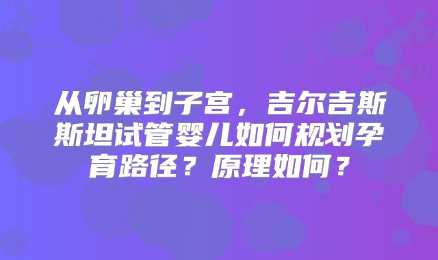 从卵巢到子宫,吉尔吉斯斯坦试管婴儿如何规划孕育路径?原理如何?