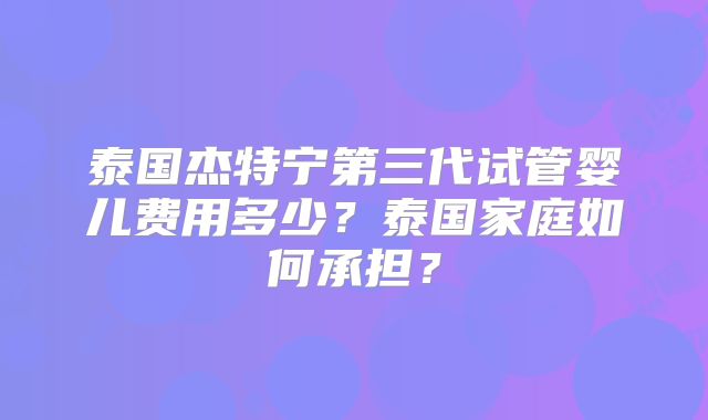 泰国杰特宁第三代试管婴儿费用多少？泰国家庭如何承担？