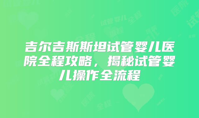 吉尔吉斯斯坦试管婴儿医院全程攻略,揭秘试管婴儿操作全流程