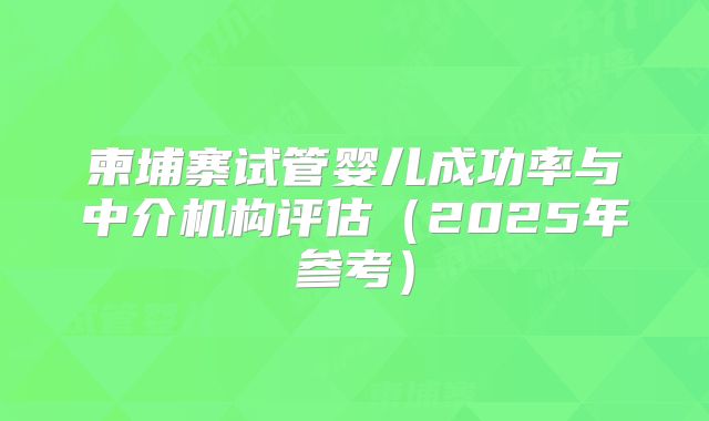 柬埔寨试管婴儿成功率与中介机构评估（2025年参考）