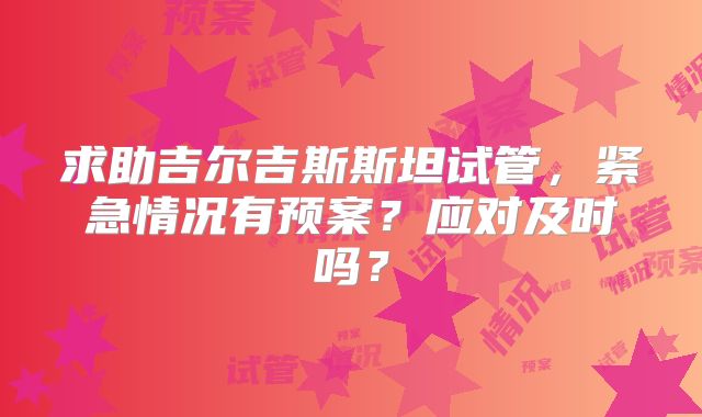 求助吉尔吉斯斯坦试管，紧急情况有预案？应对及时吗？