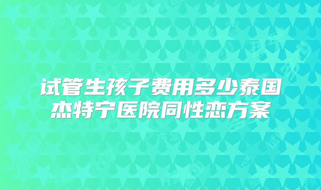 试管生孩子费用多少泰国杰特宁医院同性恋方案