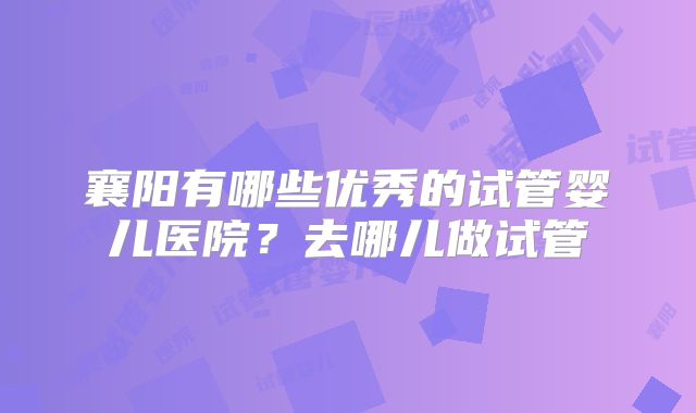 襄阳有哪些优秀的试管婴儿医院？去哪儿做试管