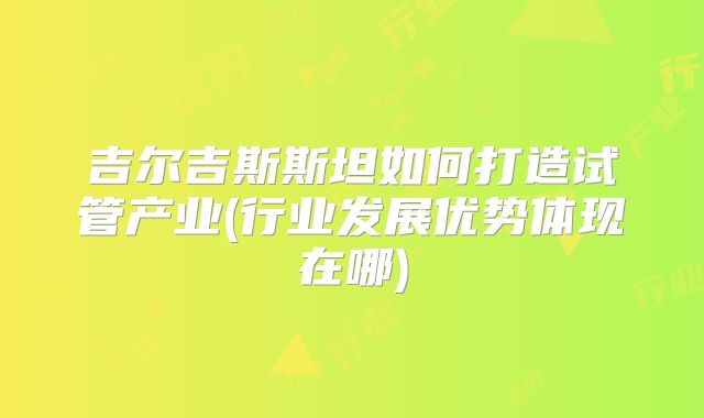 吉尔吉斯斯坦如何打造试管产业(行业发展优势体现在哪)