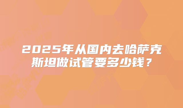 2025年从国内去哈萨克斯坦做试管要多少钱?