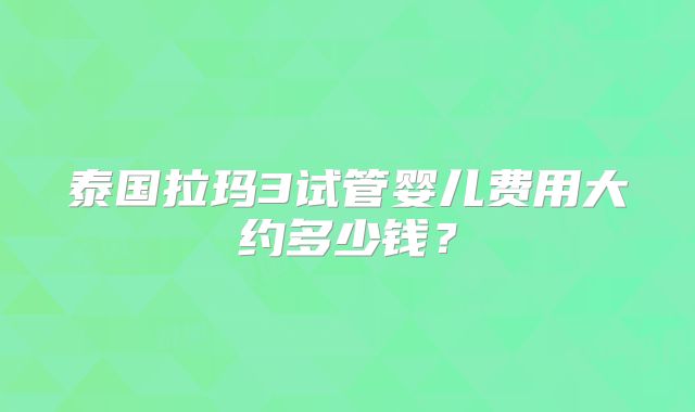 泰国拉玛3试管婴儿费用大约多少钱？