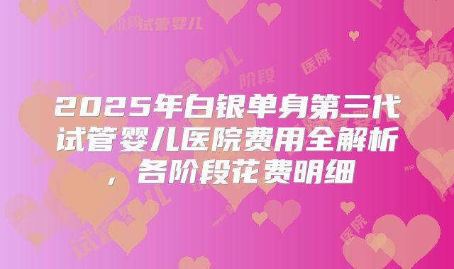 2025年白银单身第三代试管婴儿医院费用全解析,各阶段花费明细