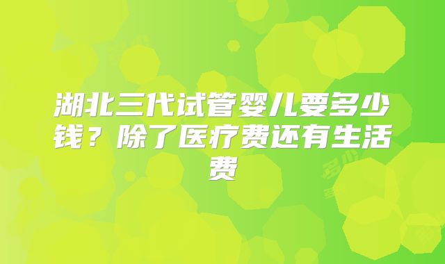 湖北三代试管婴儿要多少钱?除了医疗费还有生活费