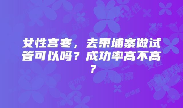 女性宫寒，去柬埔寨做试管可以吗？成功率高不高？