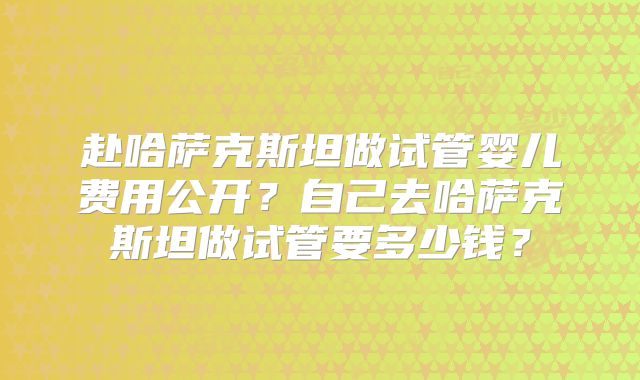 赴哈萨克斯坦做试管婴儿费用公开?自己去哈萨克斯坦做试管要多少钱?