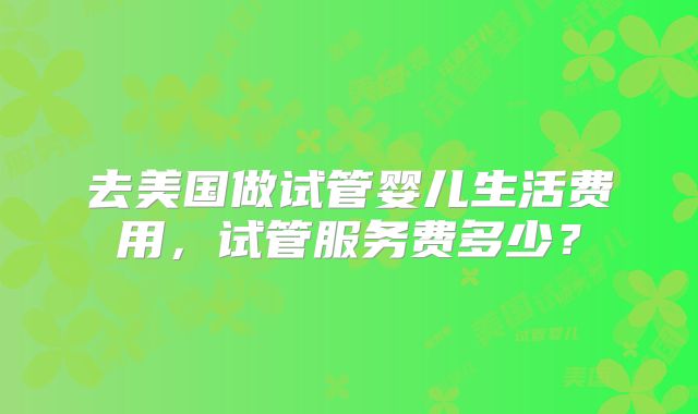 去美国做试管婴儿生活费用,试管服务费多少?