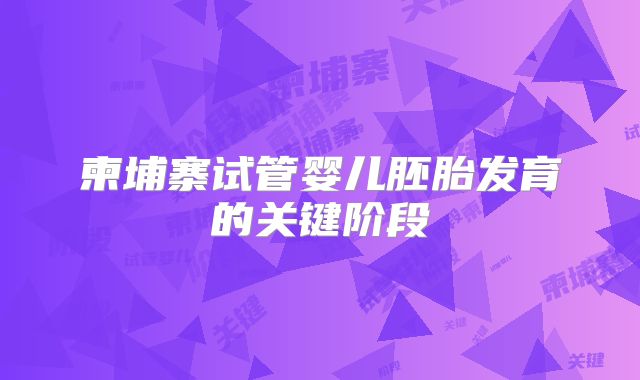 柬埔寨试管婴儿胚胎发育的关键阶段