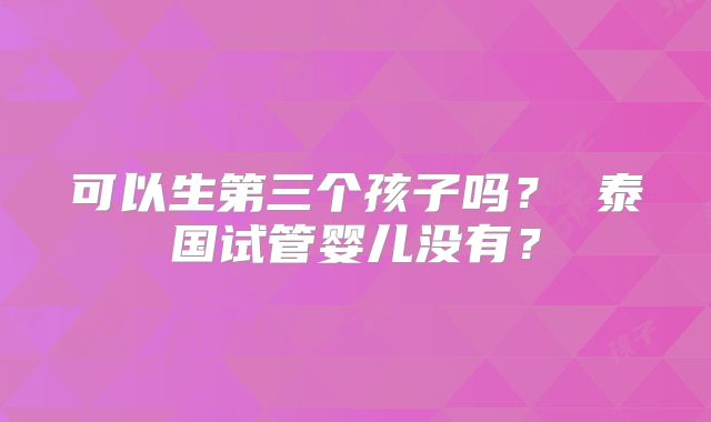 可以生第三个孩子吗？ 泰国试管婴儿没有？