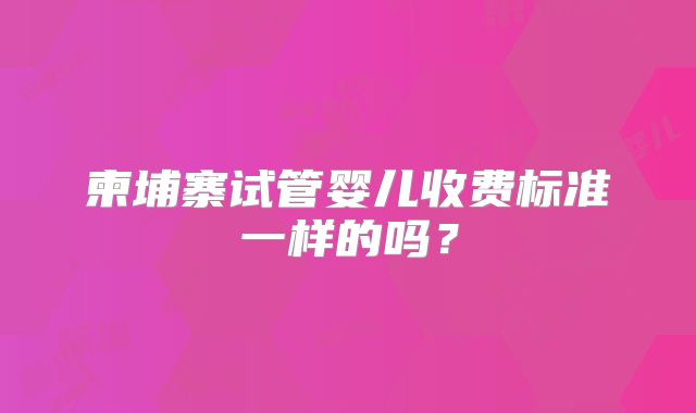 柬埔寨试管婴儿收费标准一样的吗?