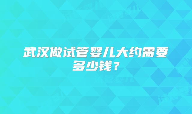 武汉做试管婴儿大约需要多少钱?