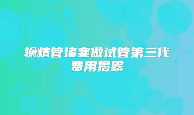 输精管堵塞做试管第三代费用揭露