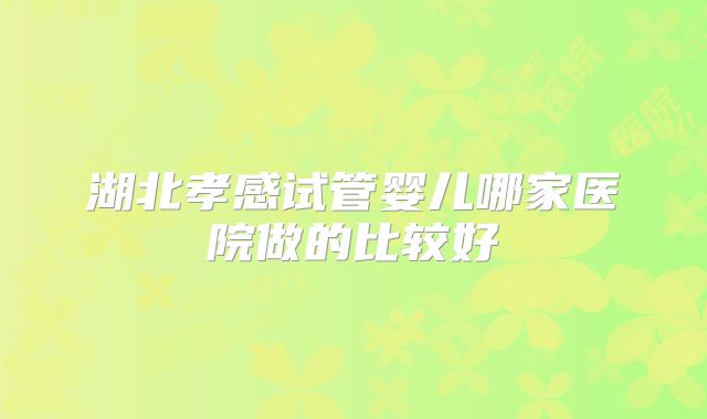 湖北孝感试管婴儿哪家医院做的比较好