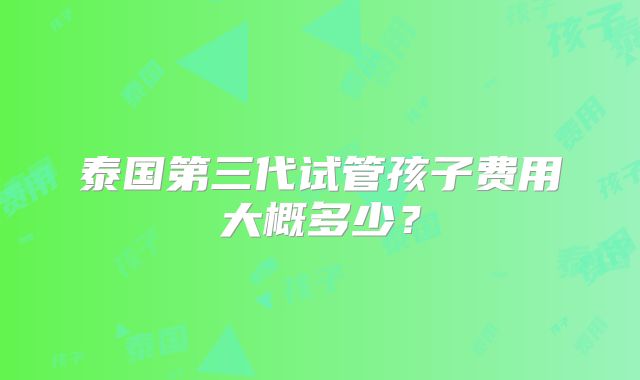泰国第三代试管孩子费用大概多少?