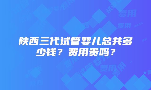 陕西三代试管婴儿总共多少钱?费用贵吗?