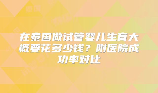在泰国做试管婴儿生育大概要花多少钱？附医院成功率对比